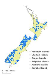 Lophozonia menziesi distribution map based on databased records at AK, CHR and WELT. 
 Image: K. Boardman © Landcare Research 2015 CC BY 3.0 NZ